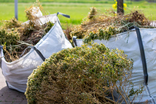 Best Residential Junk Removal  in , AK